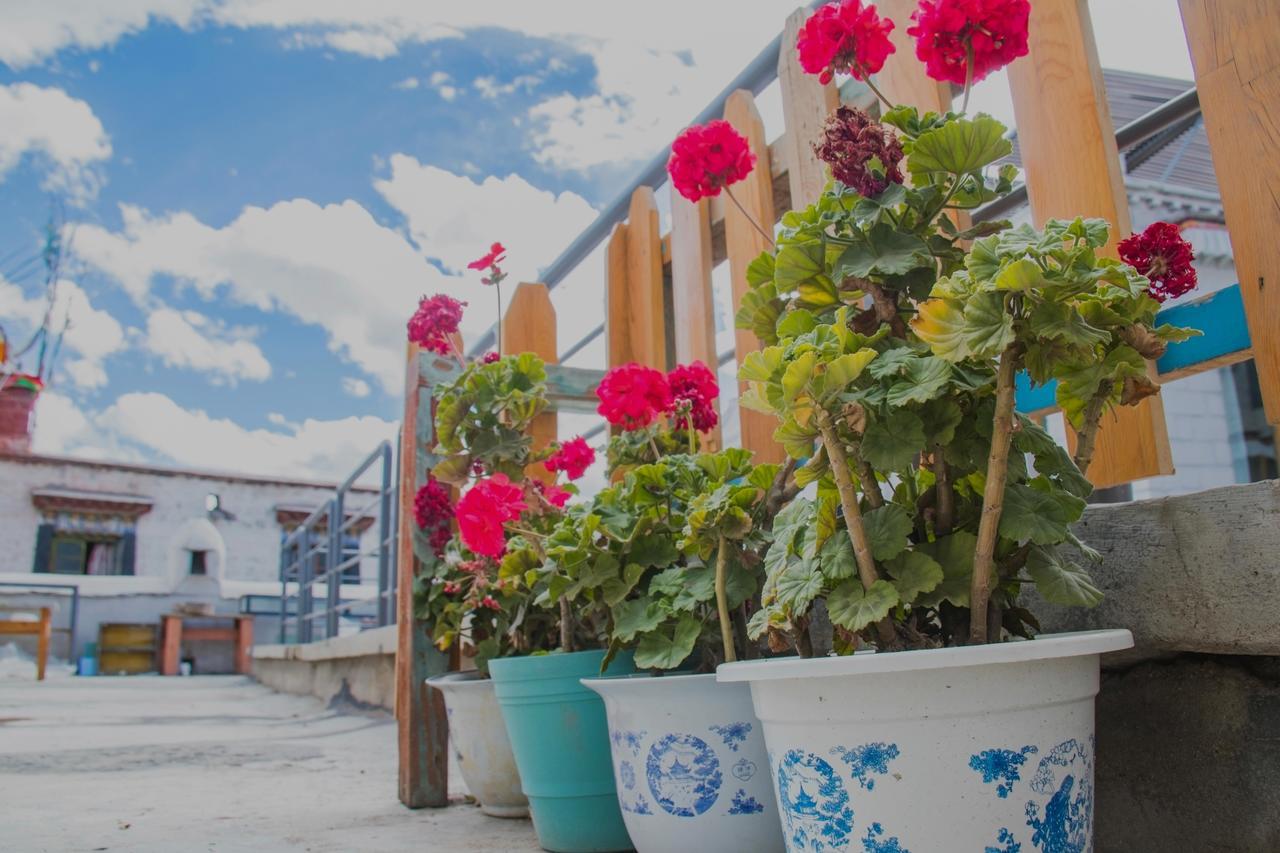 Fengma Feiyang Hostel Lhasa Buitenkant foto
